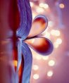 Amira - Psychologische Lebensberatung - Liebe & Partnerschaft - Beruf & Arbeitsleben - Medium & Channeling - Hellsehen & Wahrsagen Amira - Psychologische Lebensberatung - Liebe & Partnerschaft - Beruf & Arbeitsleben - Medium & Channeling - Hellsehen & Wahrsagen