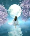 La Luna - Beruf & Arbeitsleben - Hellsehen & Wahrsagen - Tarot & Kartenlegen - Medium & Channeling - Liebe & Partnerschaft La Luna - Beruf & Arbeitsleben - Hellsehen & Wahrsagen - Tarot & Kartenlegen - Medium & Channeling - Liebe & Partnerschaft