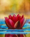 Chiara - Liebe & Partnerschaft - Medium & Channeling - Familie - Hellsehen & Wahrsagen - Psychologische Lebensberatung Chiara - Liebe & Partnerschaft - Medium & Channeling - Familie - Hellsehen & Wahrsagen - Psychologische Lebensberatung