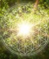 Simone - Beruf & Arbeitsleben - Tarot & Kartenlegen - Liebe & Partnerschaft - Familie Simone - Beruf & Arbeitsleben - Tarot & Kartenlegen - Liebe & Partnerschaft - Familie
