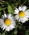 Marie-Luise - Medium & Channeling - Familie - Liebe & Partnerschaft - Sonstige Bereiche - Psychologische Lebensberatung Marie-Luise - Medium & Channeling - Familie - Liebe & Partnerschaft - Sonstige Bereiche - Psychologische Lebensberatung