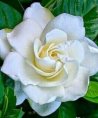 Lucia - Tierkommunikation - Astrologie & Horoskope - Hellsehen & Wahrsagen - Sonstige Bereiche - Psychologische Lebensberatung Lucia - Tierkommunikation - Astrologie & Horoskope - Hellsehen & Wahrsagen - Sonstige Bereiche - Psychologische Lebensberatung